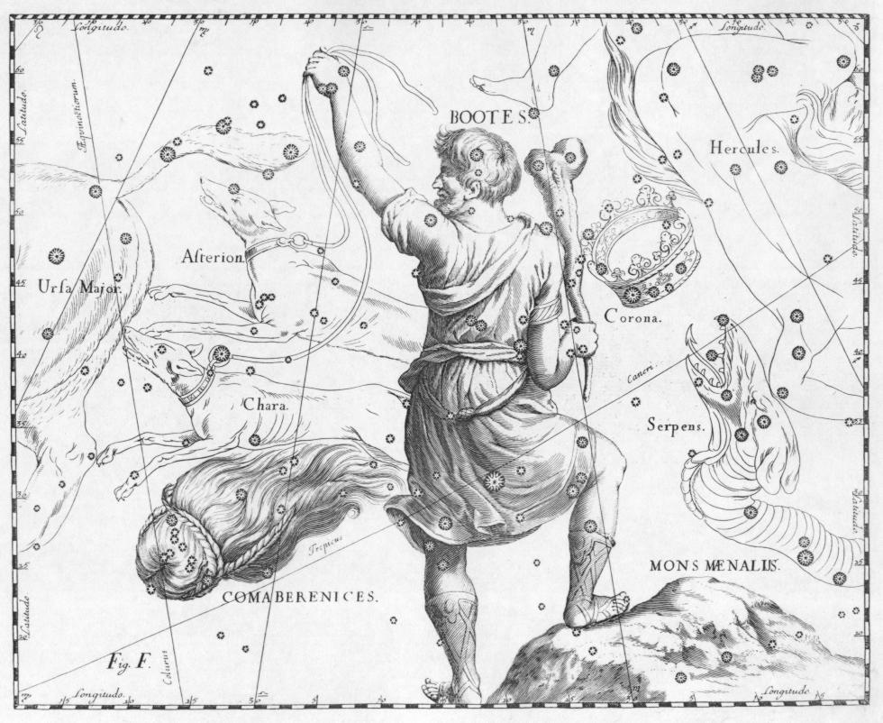 La costellazione del Boote disegnata da Hevelius.